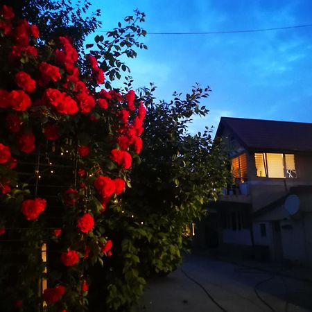 Cristalex Villaverde Bucharest Pantelimon Luaran gambar