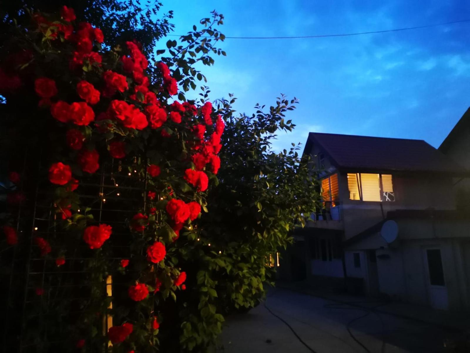 Cristalex Villaverde Bucharest Pantelimon Luaran gambar