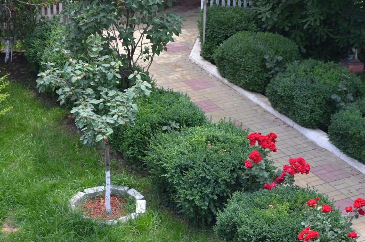 Cristalex Villaverde Bucharest Pantelimon Luaran gambar